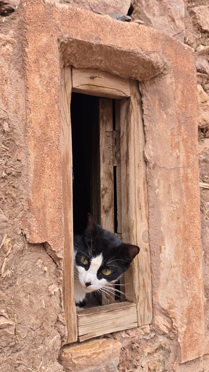Morocco trip photo 66 · 27 May 2025